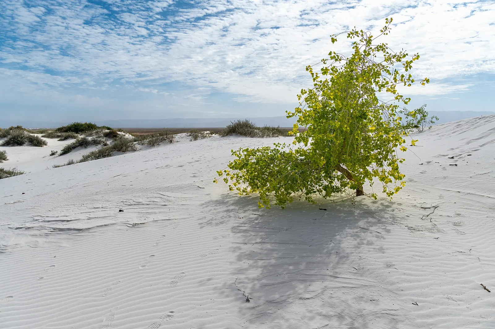 Expansive white gypsum dunes at White Sands in New Mexico